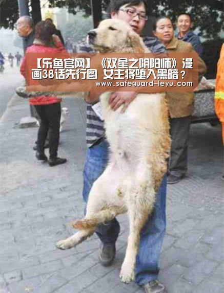 【乐鱼官网】《双星之阴阳师》漫画38话先行图 女主将堕入黑暗?(图2) 乐鱼官网