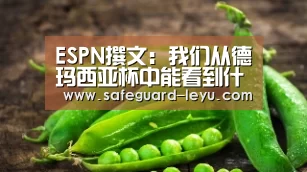 ESPN撰文:我们从德玛西亚杯中能看到什么_乐鱼官网(图2) 乐鱼官网